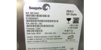 Seagate 9BK13G-262 hard drive